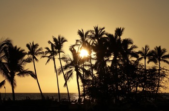 IMG_1186 copy 2