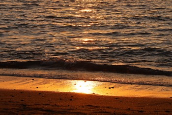 IMG_0272 copy_1DA334D7 2