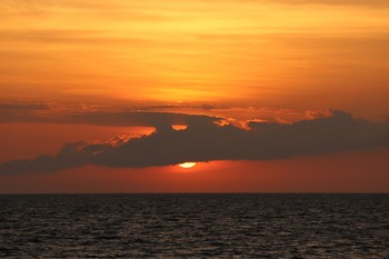IMG_0118 copy_188C8E8E