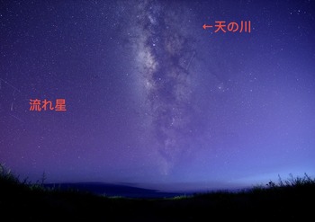 IMG_0166 copy 3_C187DFEF