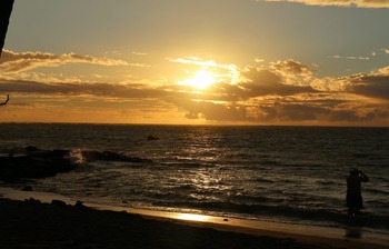 IMG_0319 copy_24587C73