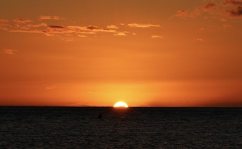 IMG_1438 copy 2