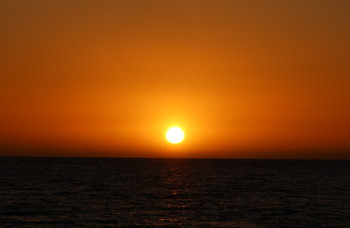IMG_1217 copy
