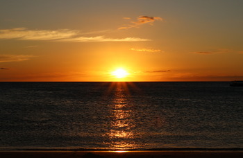 IMG_1401 copy