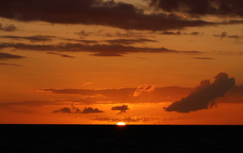 IMG_1853 copy
