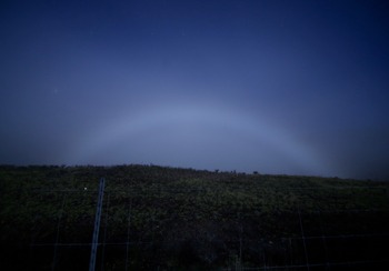 IMG_4756