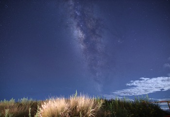 0_IMG_1618 copy