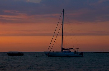 IMG_0291