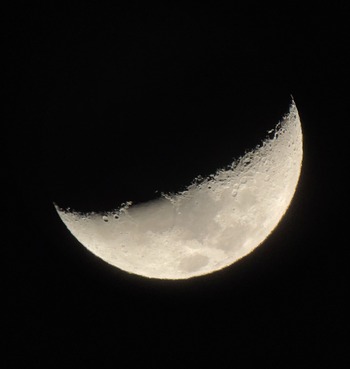 IMG_2659 copy