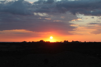 h11