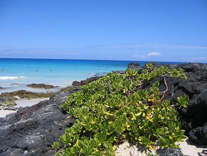 kua bay2