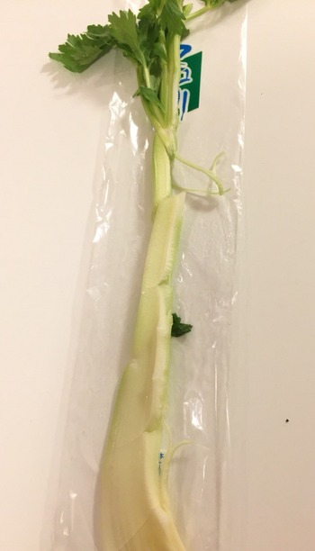 几帳面な夫による野菜の1/2