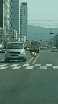 gif01