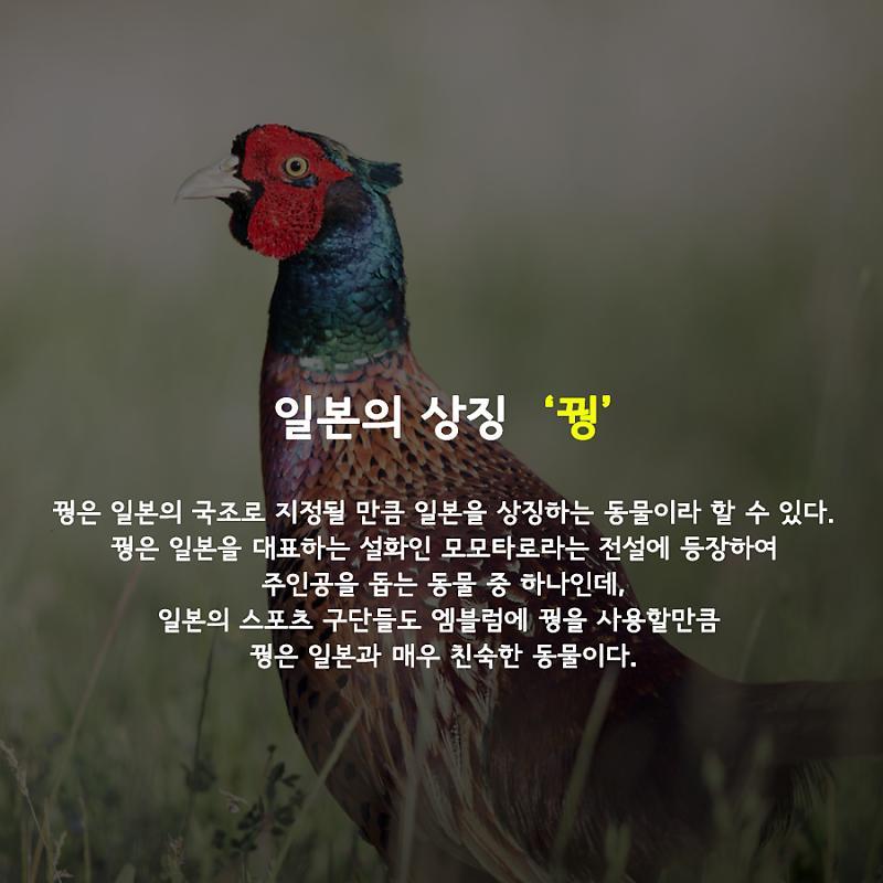 韓国人 各国を象徴する代表動物だそうですが 意外です パンコリ