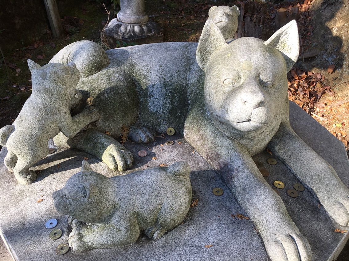 謹賀新年 犬と大根の三寳寺 出たよ京都検定 京都検定で京都を楽しむ 謹賀新年 犬と大根の三寳寺 出たよ京都検定 京都検定で京都を楽しむ