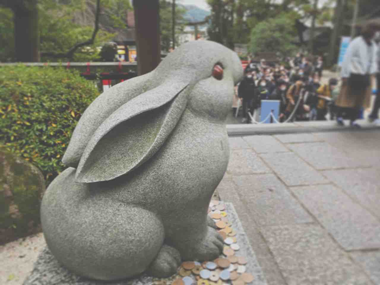 卯春】油断しないうさぎになろう！【うさぎ練習問題】 : 京都検定で