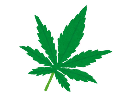 悲報 愛知の法務教官さん 少年院敷地で大麻を栽培し逮捕 炎上まとめ 炎joy