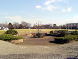 根岸森林公園 Enjoy Yokohama 横浜ブログ