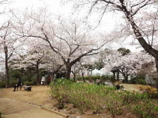 野毛山公園 Enjoy Yokohama 横浜ブログ