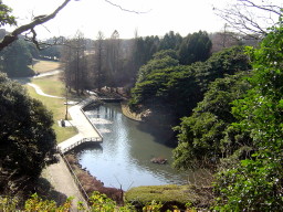 根岸森林公園