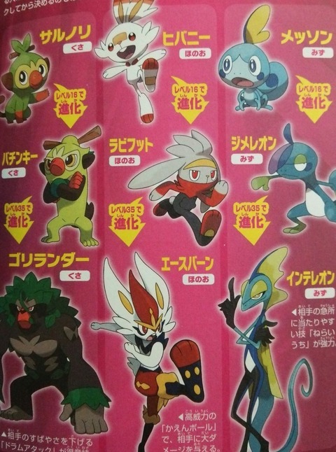 ポケモン新作の御三家 ゴリラ一択 Eスポ ポケモン新作の御三家 ゴリラ一択 Eスポ