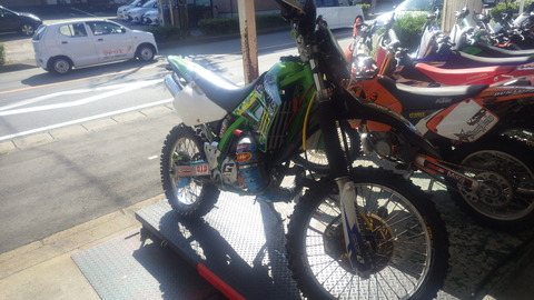 IMGP0729