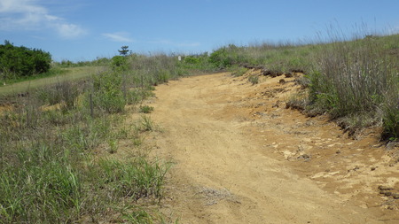 IMGP2695