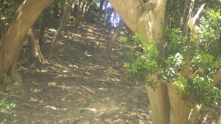 IMGP0551