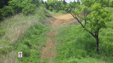 IMGP2682