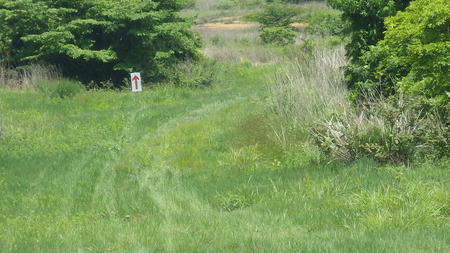 IMGP2684