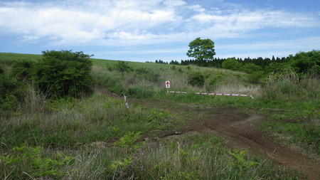 IMGP2681