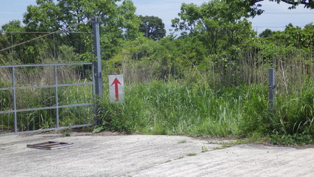 IMGP2683
