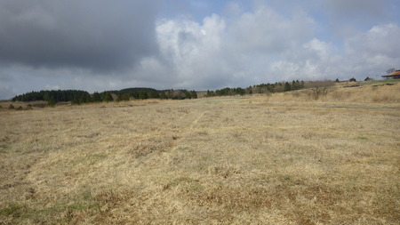 IMGP6730