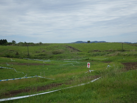 IMGP2655