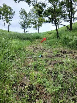2026.06.23赤馬場②
