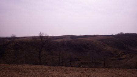 IMGP6541