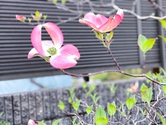 FC_20220416_0294