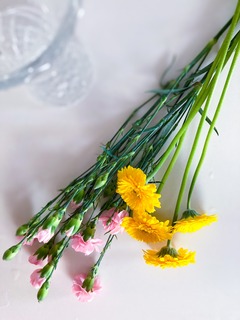 IMG_2616 2