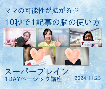 SBX20241123