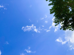IMG_8974_jpg
