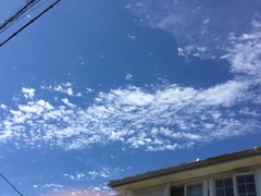 UNADJUSTEDNONRAW_thumb_714