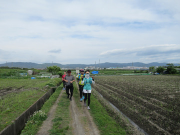 奈良観光ラン17-IMG_2751