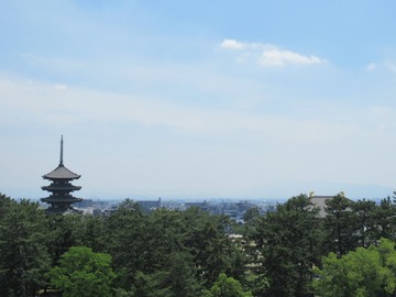 2-IMG_5139