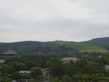 2-DSC06086