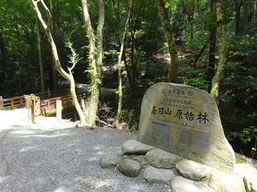 春日山原始林