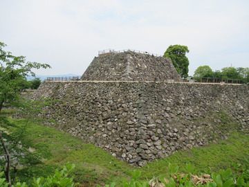 2-IMG_0242