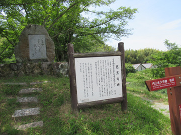 2-IMG_2952
