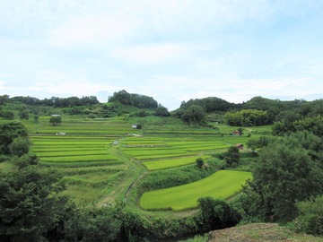 2-IMG_5607 (2)