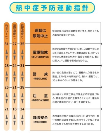 指針