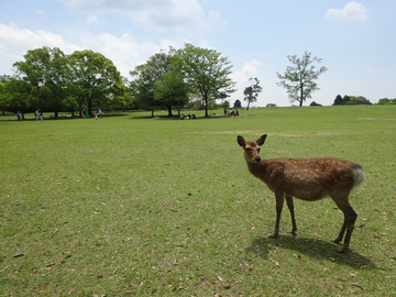 2-DSC05928